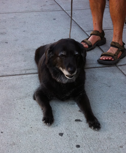 Betty here was catching some R and R after a hike with dad!
