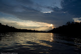 Jungle, Borneo