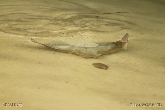 [IMG_1014%255B40%255D.jpg]