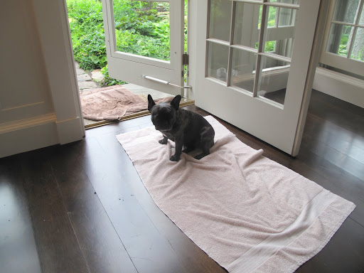 Yikes, Here we are in the tenant house and I just hate walking on hardwood floors!  I slip everywhere and I've been told that our nails sometimes scratch them up.