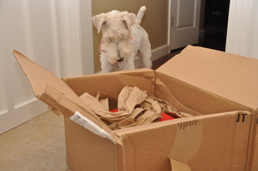 [506%255B4%255D.jpg]