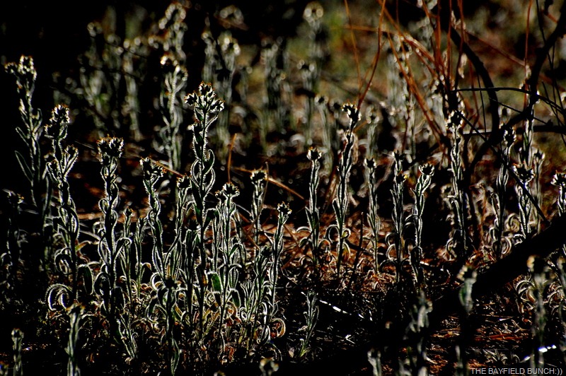 [DSC_6186%255B5%255D.jpg]