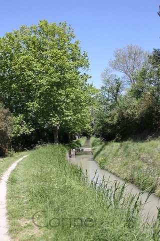 canal canal