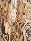 Book Friday: Alexander McQueen: Savage Beauty