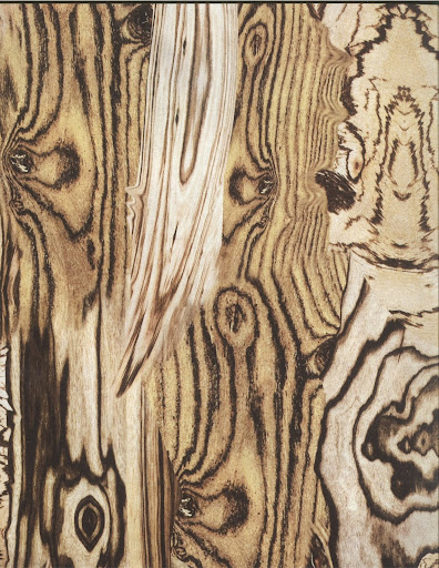 McQueen took much inspiration for his clothing from nature. This photograph, which looks like the bark of a tree, is appropriate as the opener of the book. McQueen took much inspiration for his clothing from nature. This photograph, which looks like the bark of a tree, is appropriate as the opener of the book.