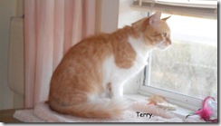 Terry-2013-03-06