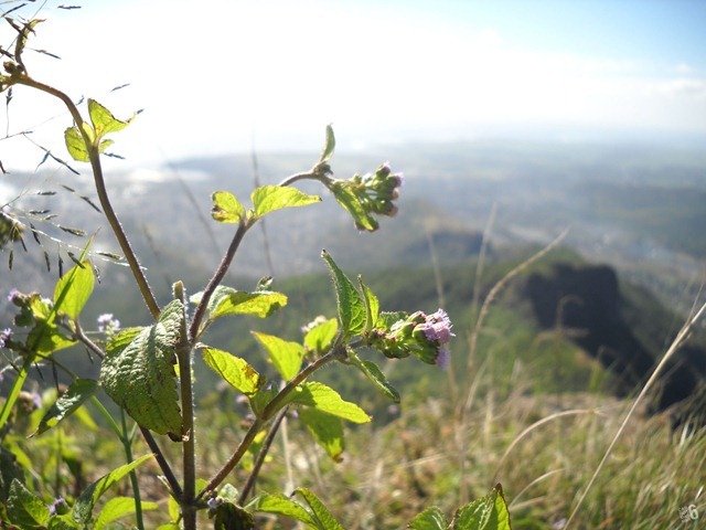 DSCN2886_2 DSCN2886_2