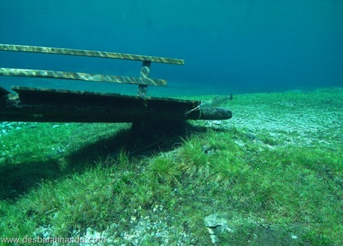 Green Lake parque submerso austria desbaratinando (3) Green Lake parque submerso austria desbaratinando (3)