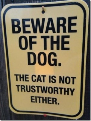 beware of dog sign beware of dog sign