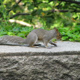 IMG_0146.JPG