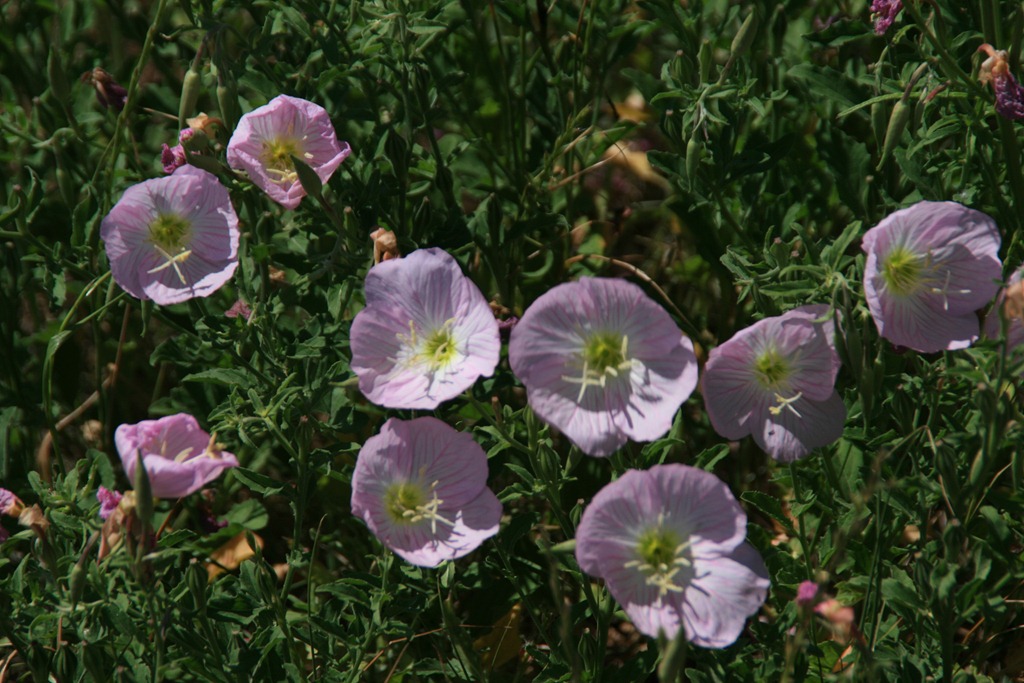 [IMG_7574%255B5%255D.jpg]