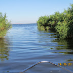 IMG_6260.JPG