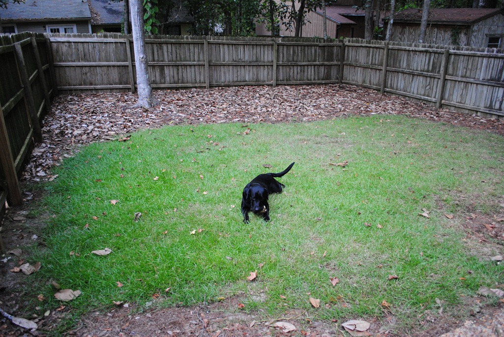 [DSC_0697%255B8%255D.jpg]