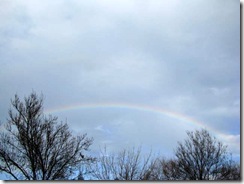 IMG_0005 IMG_0005