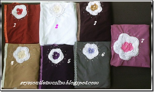 Warna SB 1