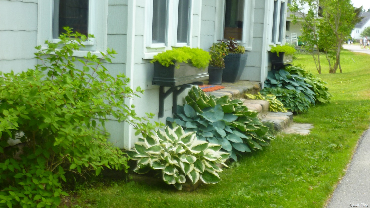 [Acadia-National-Park_1473.jpg]