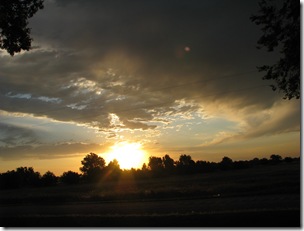 IMG_9107 IMG_9107