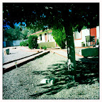 Grounds of the Harmony Motel<br />
(Pic property of Harmony Motel)