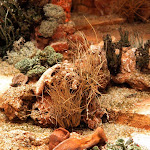 kohler ulrike 06.jpg
