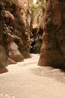 IMG_8553.JPG Photo