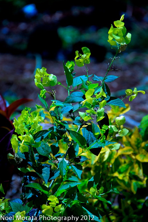 [_MG_54075.jpg]