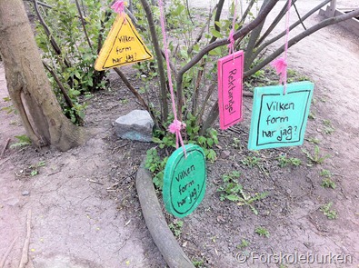 IMG_1749 IMG_1749