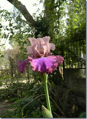 DSCN1982 DSCN1982