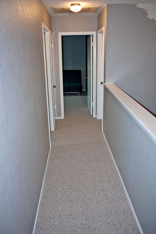 [New-Carpet-03%255B3%255D.jpg]