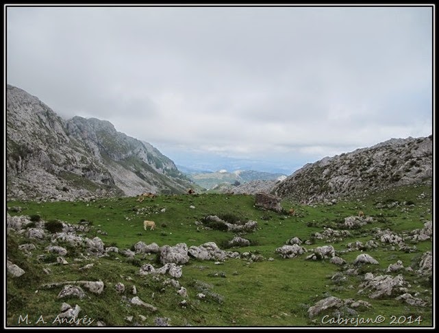 Picos 638 Picos 638