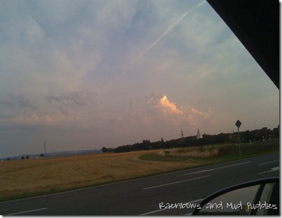 photo(7)