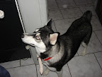 DSC05442.JPG