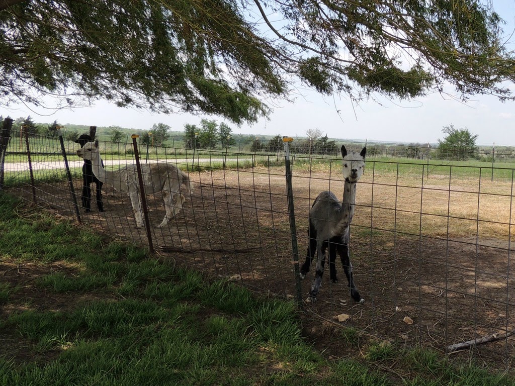 [DSCN9008%255B3%255D.jpg]