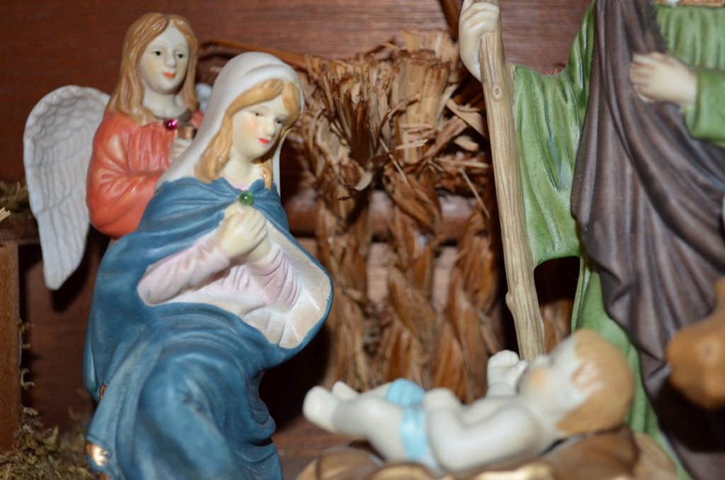 [DSC_0104%255B3%255D.jpg]