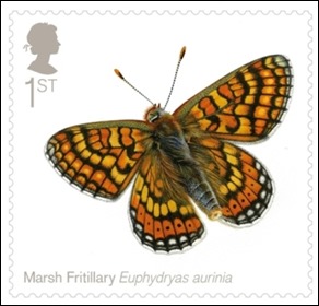 marsh-fritallary_660