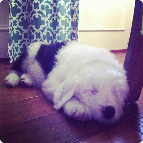 Samson