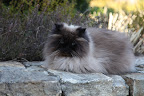 Hi there, Bartok.  Isn't the weather great?