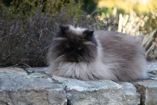 Hi there, Bartok.  Isn't the weather great?