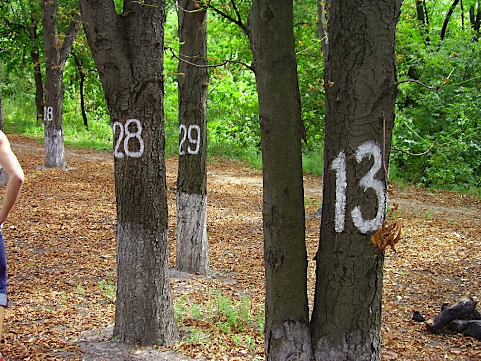 P8280445.JPG