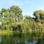 IMG_8061.JPG
