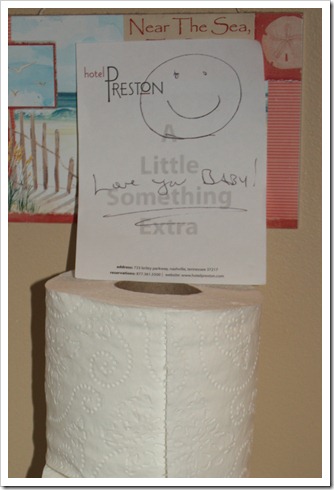 toilet paper 003