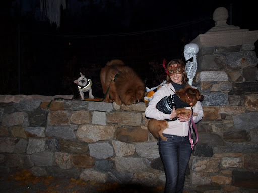 Now there's a concept for you!  Uncle Carlos should get us off this wall, put our costumes on, and take us around the neighborhood for treats.  Dog treats, of course.