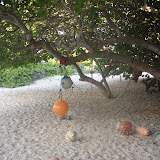 bowers 2009 059.JPG