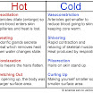 thermoregulation.jpg