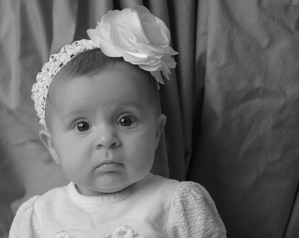 [DSC_5230z%255B5%255D.jpg]