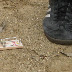 UofC2012 - 243.jpg