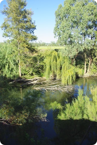 Peel River behind Austin Caravan Park