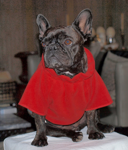And here I am showing off a cozy red fleece. Notice my wistful gaze and relaxed pose. Those are the marks of a true professional. And here I am showing off a cozy red fleece. Notice my wistful gaze and relaxed pose. Those are the marks of a true professional.