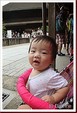 IMG_4978 IMG_4978