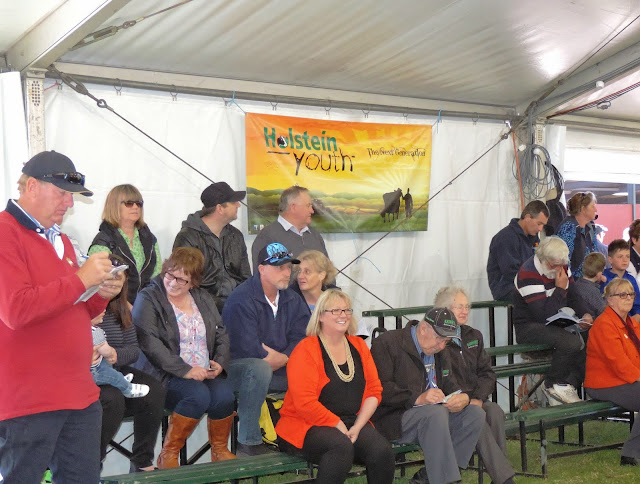 Around the ring - No 2.jpg