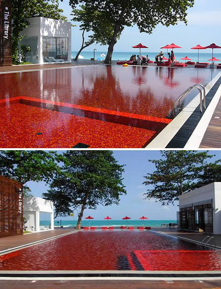 Image Dimension: 393x512 :: 10 Fascinating Swimming Pools!! 10 Fascinating Swimming Pools!!